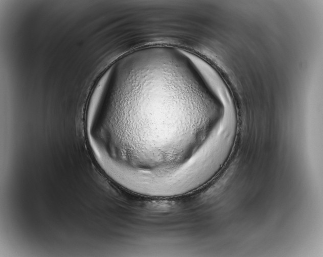 X0000088421137200706121428
