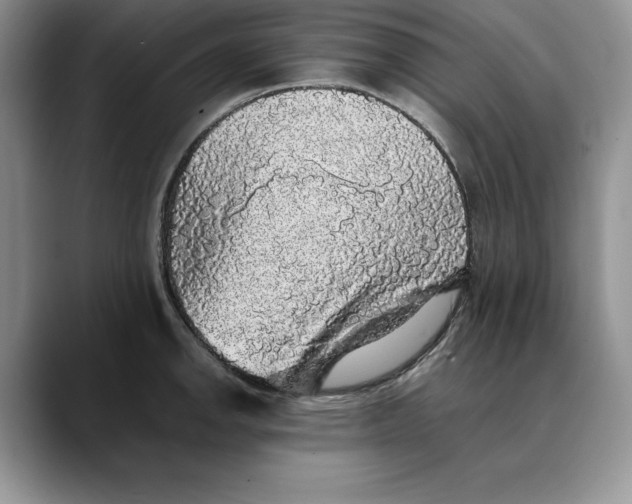 X0000088421142200706121428