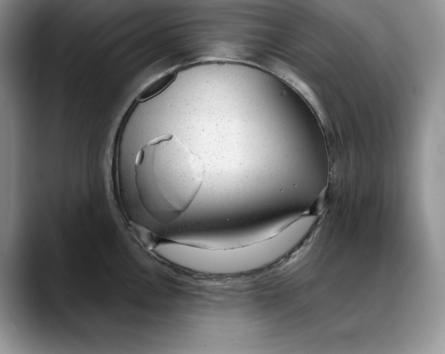 X0000088421146200706121428