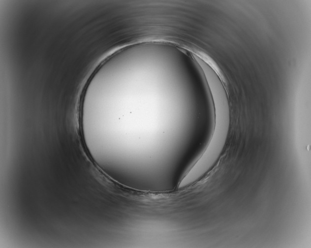 X0000088421148200706121428