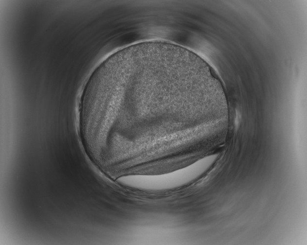 X0000088421151200706121428
