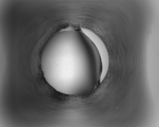 X0000088421153200706121427