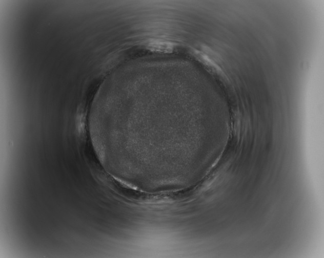 X0000088421154200706121427