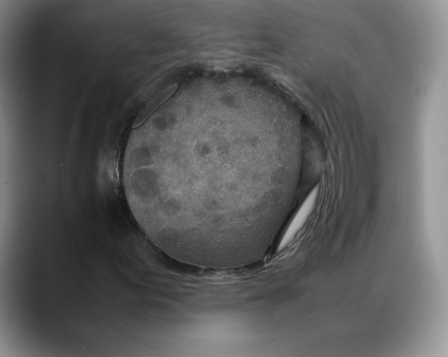 X0000088421155200706121427