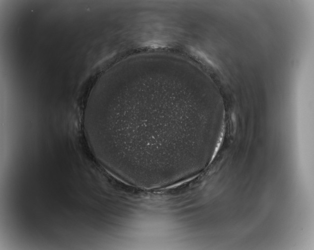 X0000088421158200706121427