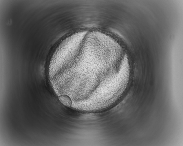 X0000088421162200706121427