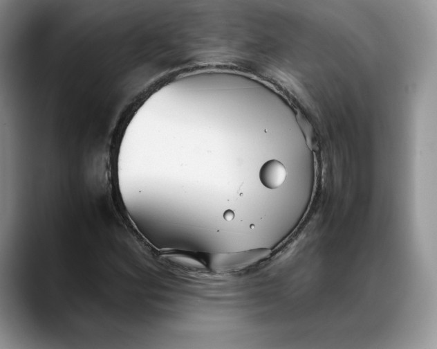 X0000088421164200706121427