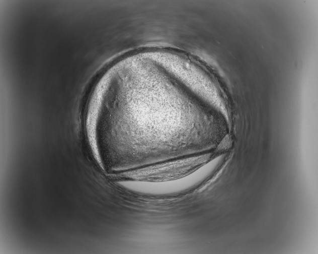 X0000088421167200706121427