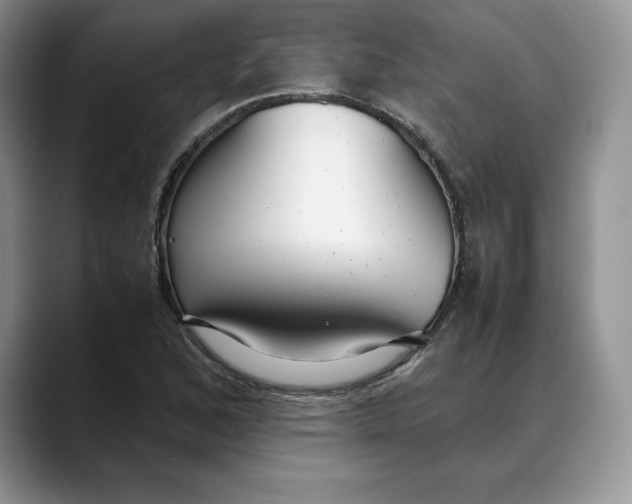 X0000088421168200706121427