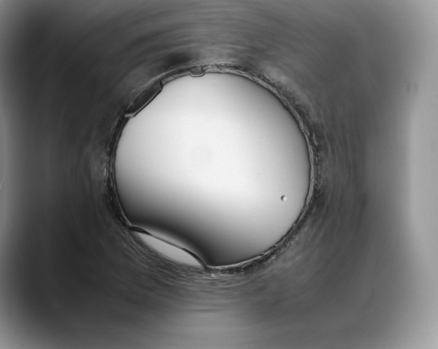 X0000088421169200706121427
