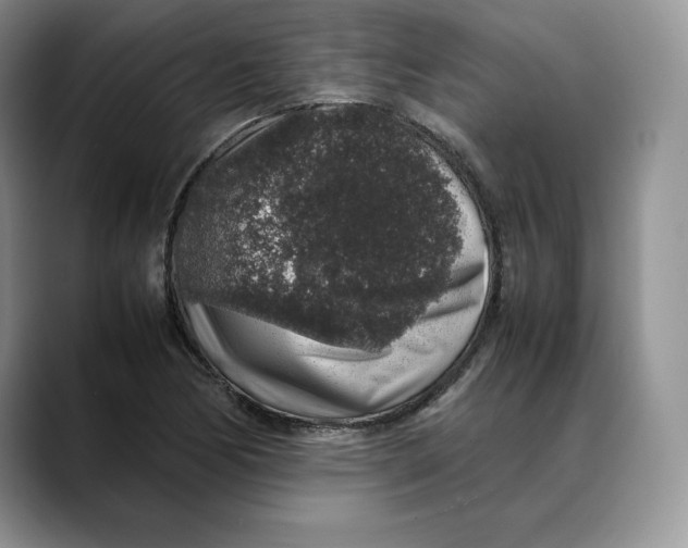 X0000088421170200706121427