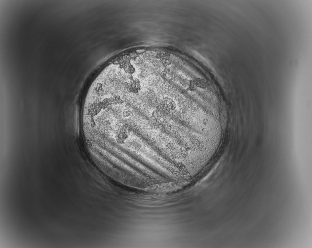 X0000088421171200706121427