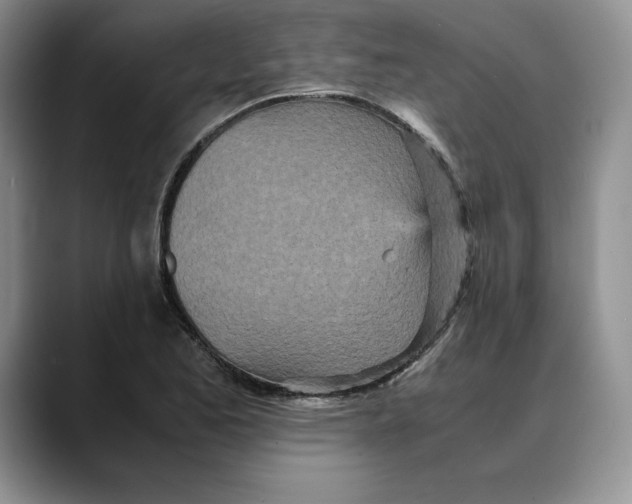 X0000088421173200706121427