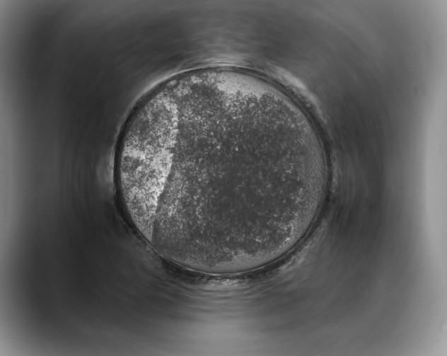 X0000088421174200706121427