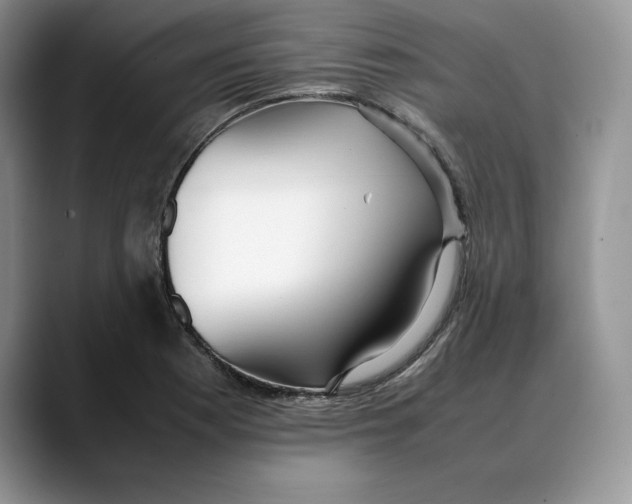 X0000088421177200706121427