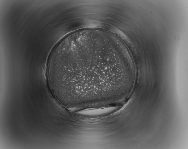 X0000088421178200706121427