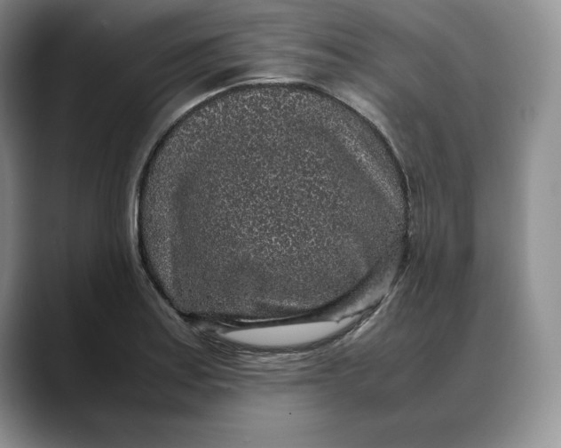 X0000088421179200706121427