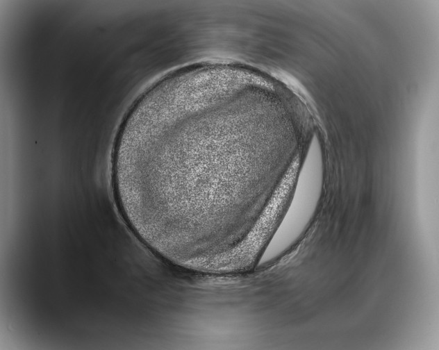 X0000088421183200706121427