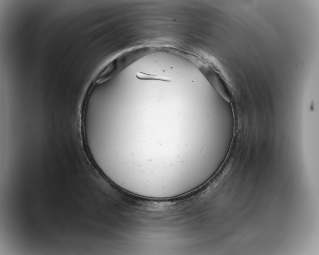 X0000088421184200706121427