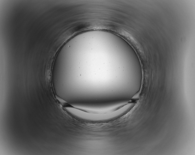 X0000088421185200706121427