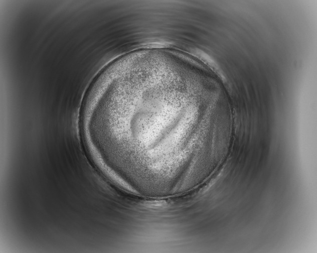 X0000088421186200706121427