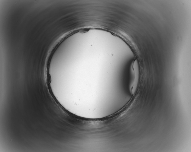 X0000088421188200706121427