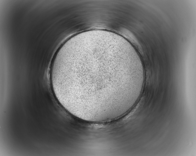 X0000088421190200706121427