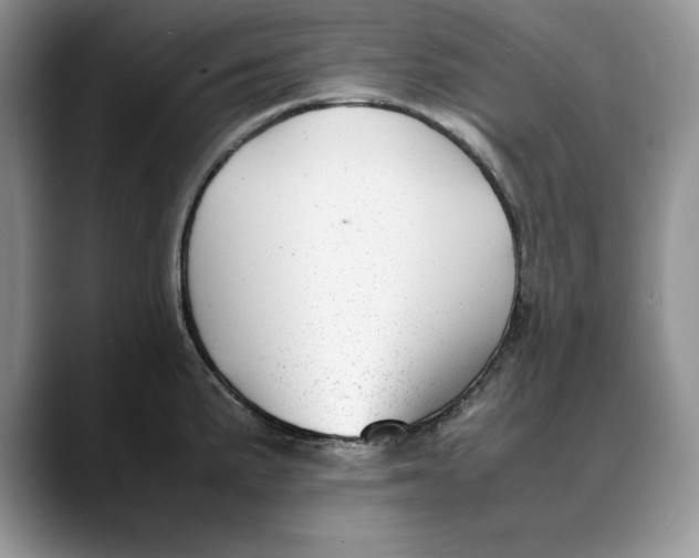 X0000088421191200706121427