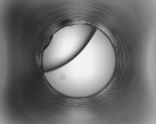 X0000088421193200706121427