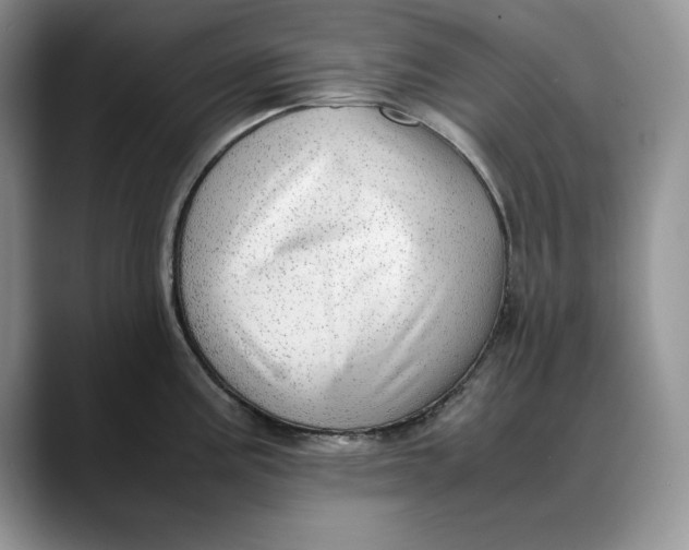 X0000088421195200706121427