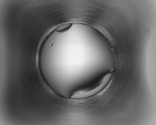 X0000088421196200706121427