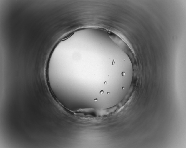 X0000088421197200706121427