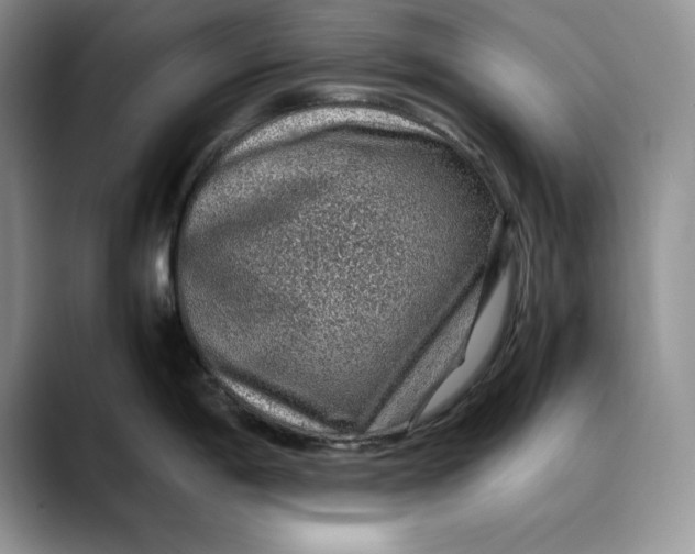 X0000088421198200706121427