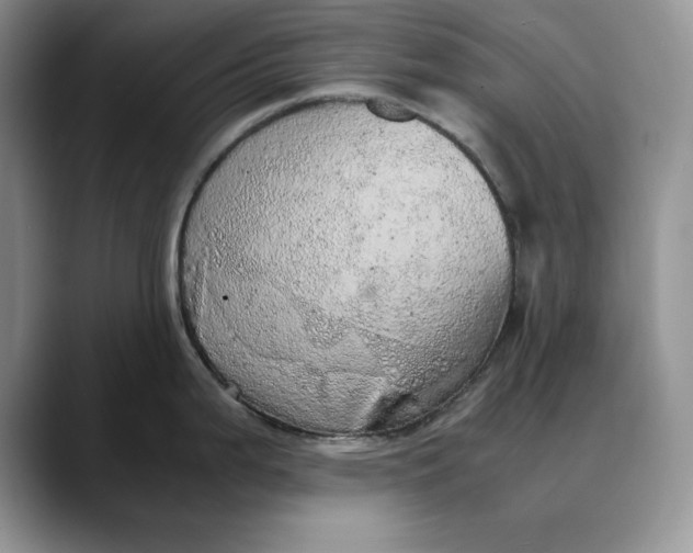 X0000088421199200706121427