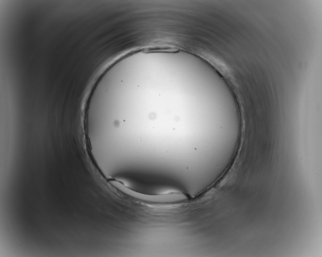 X0000088421200200706121427