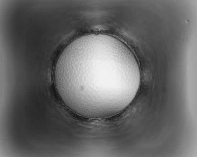 X0000088421205200706121426
