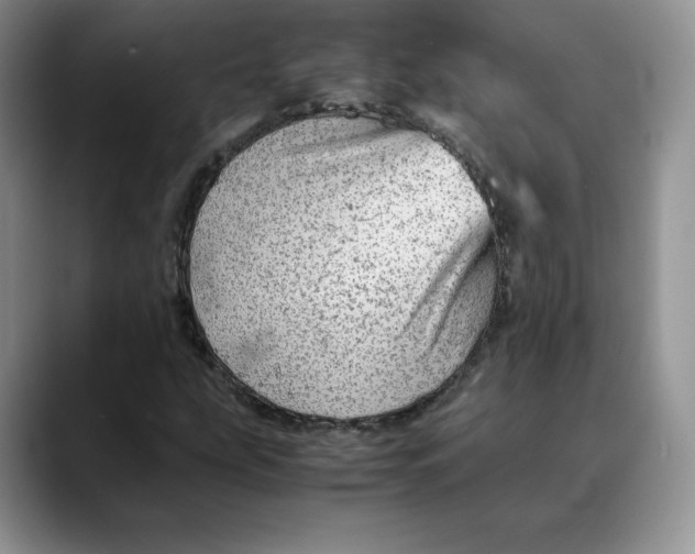 X0000088421207200706121426