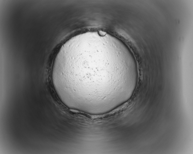 X0000088421208200706121426