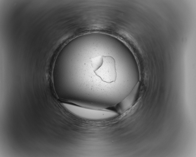 X0000088421210200706121426