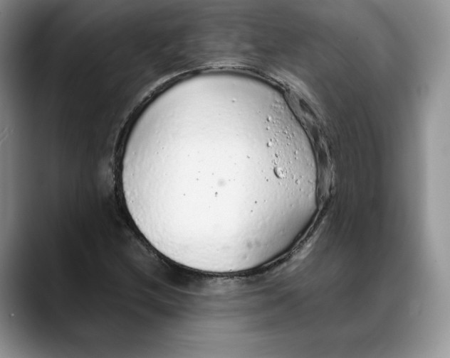 X0000088421212200706121426