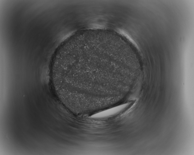 X0000088421213200706121426