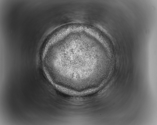 X0000088421215200706121426