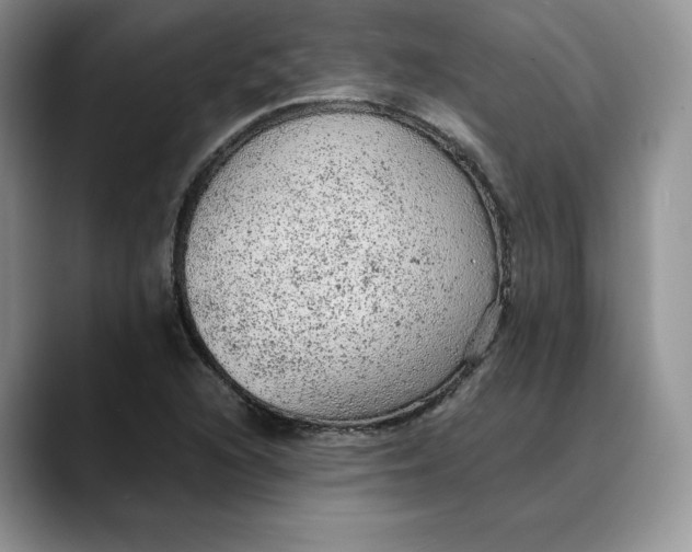 X0000088421216200706121426