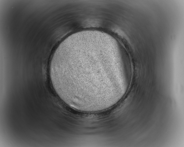 X0000088421217200706121426
