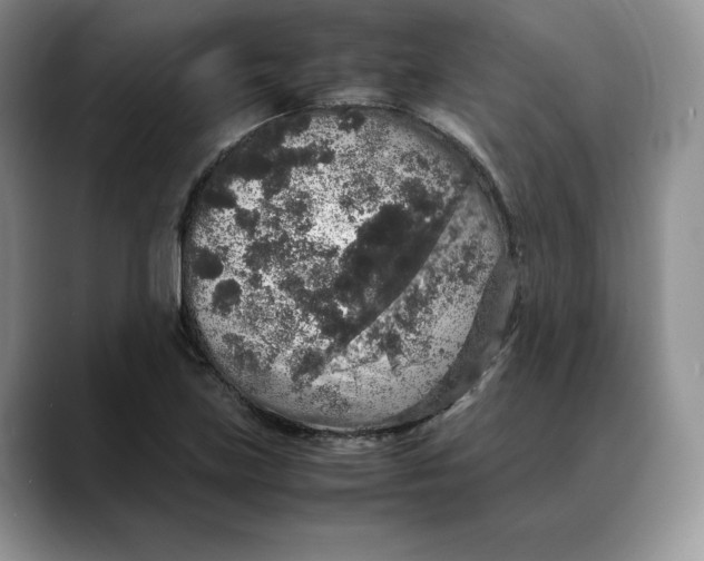 X0000088421219200706121426