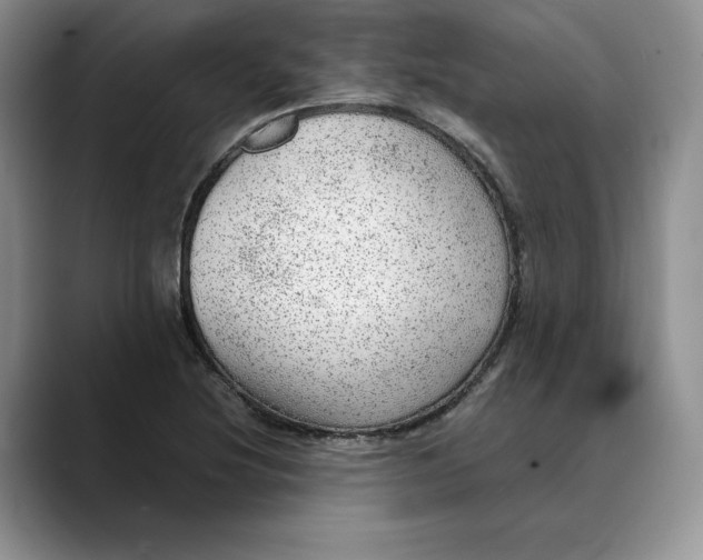 X0000088421220200706121426