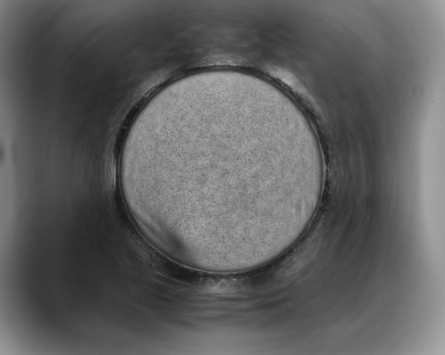 X0000088421221200706121426