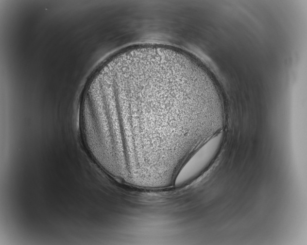 X0000088421224200706121426