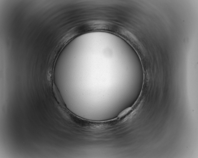 X0000088421225200706121426