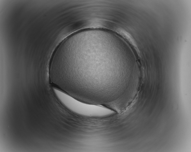 X0000088421226200706121426